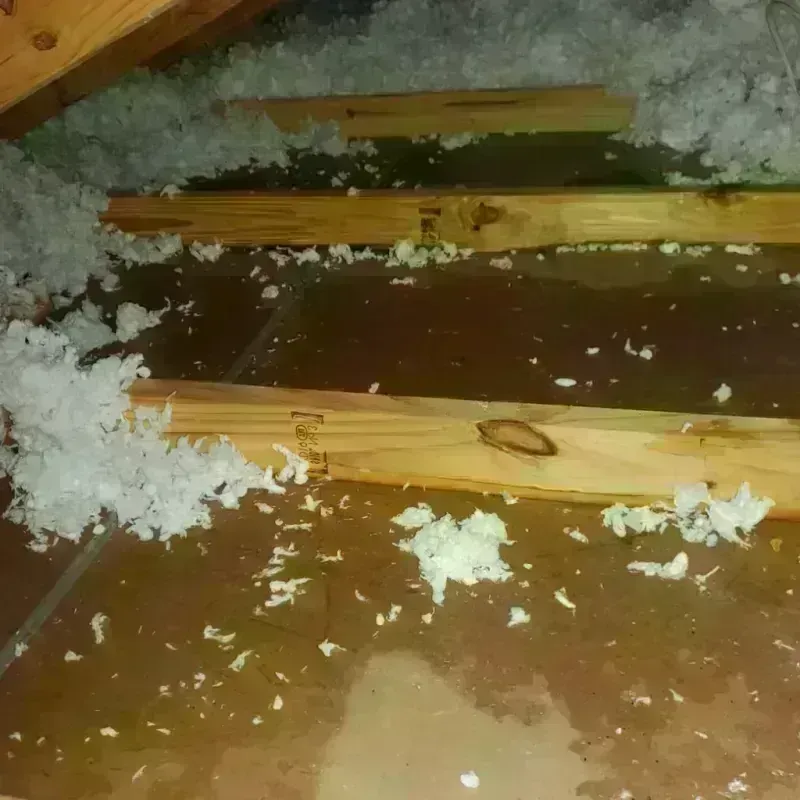 Attic Water Damage in Minot, ME